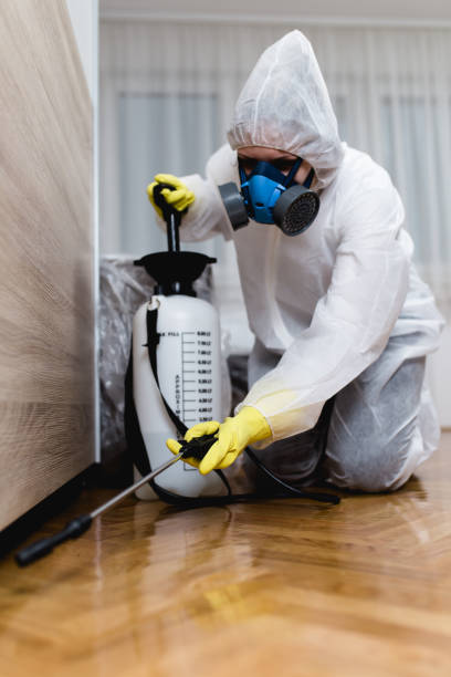 Indoor Pest Control in Culpeper, VA